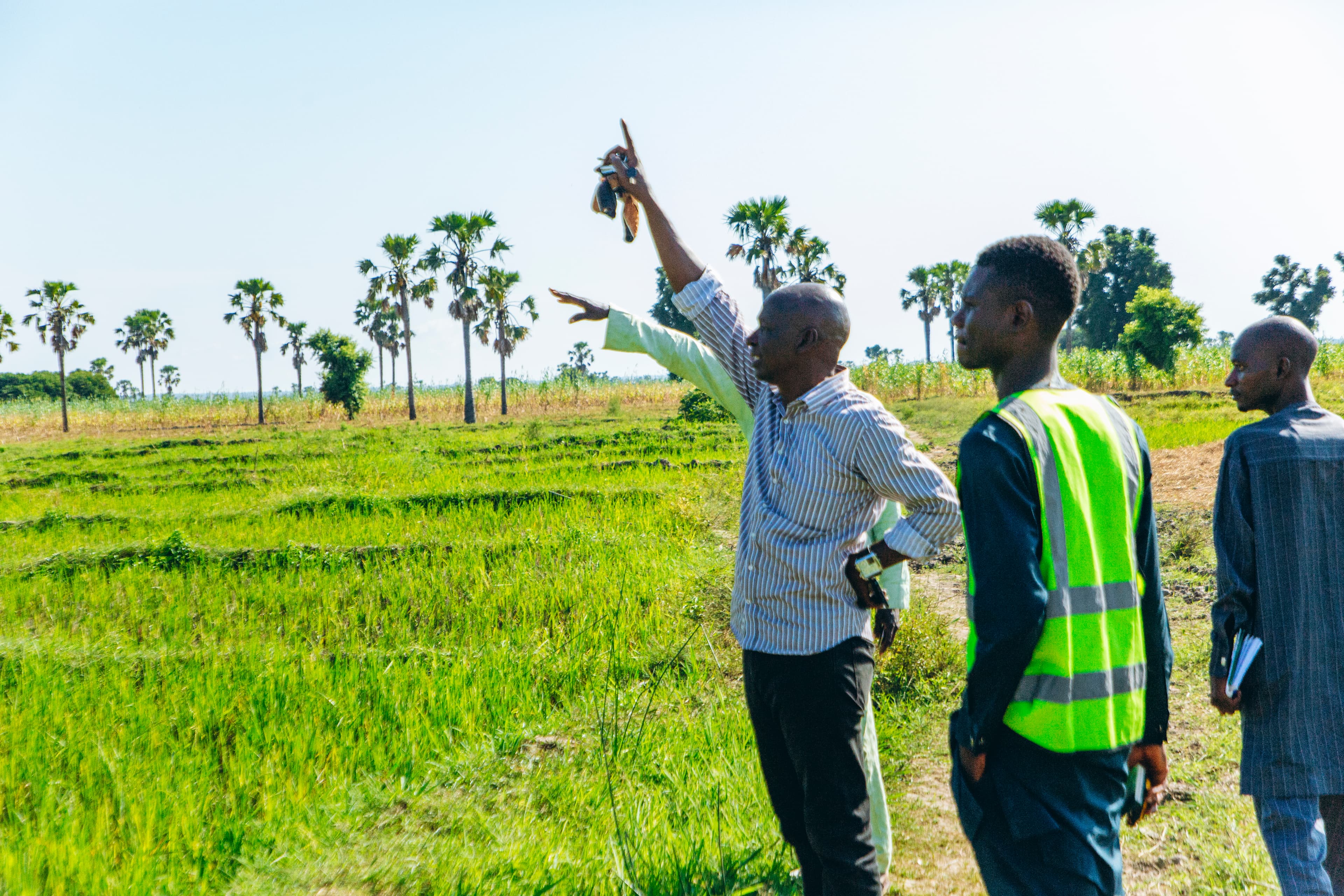 ADAMAWA STATE CLIMATE