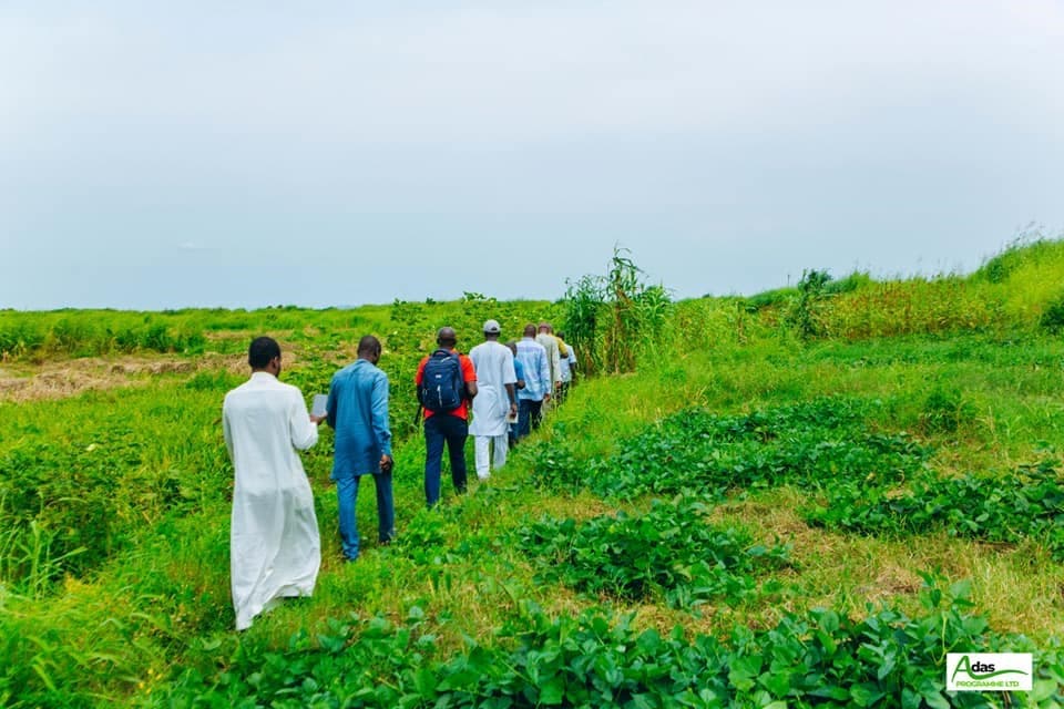 ICT in Agriculture